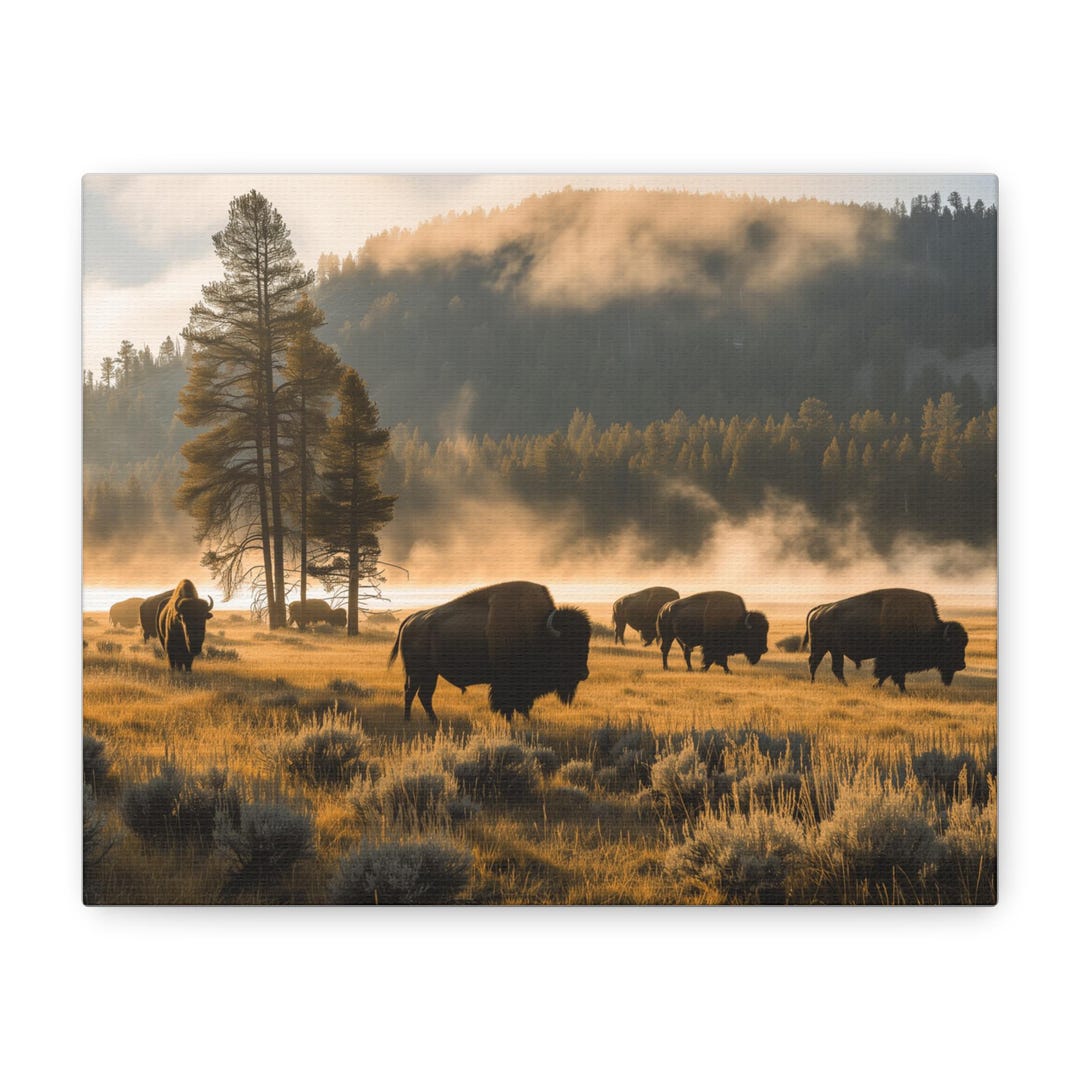 Yellowstone Bison Canvas Print: Grazing Landscape Photography Wall Art ...