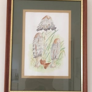 ヴィンテージ シャギー インク キャップ マッシュルーム サイン入り 水彩画 菌類