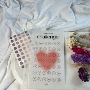Challenge A6 | Valentinstag Challenge als matten Umschlag | Umschlagmethode | minimalistisch | für A6 Binder | inklusive Klebepunkte