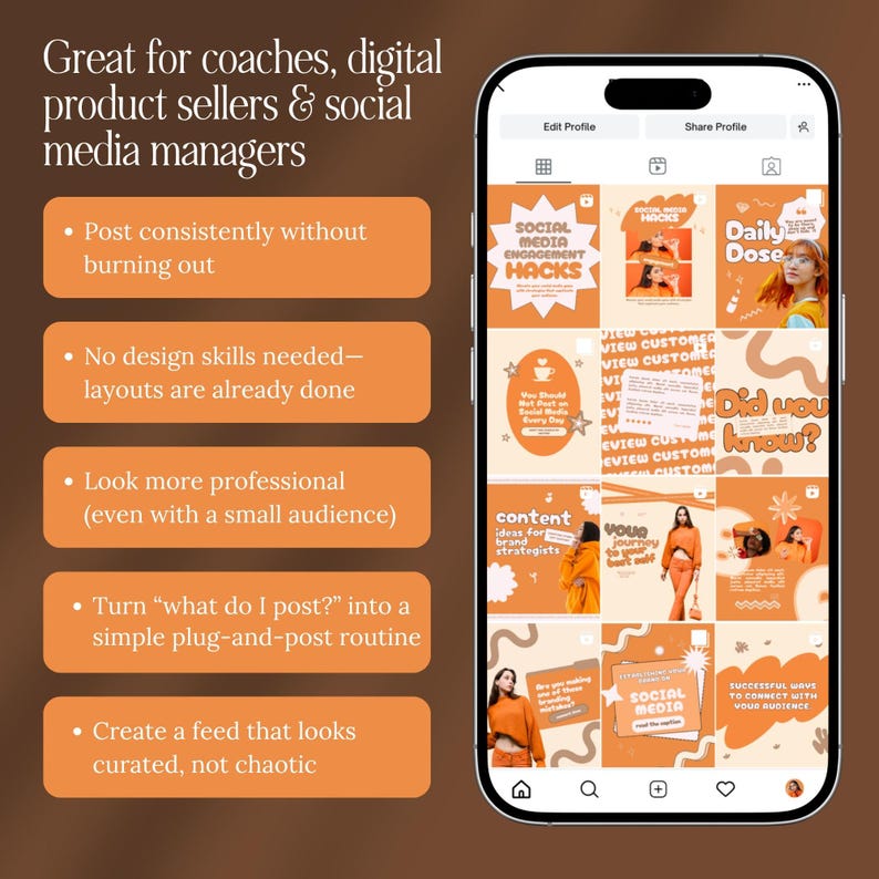 Animative Posts Animated Instagram Post Templates | Canva MRR PLR (digital Download) - Etsy