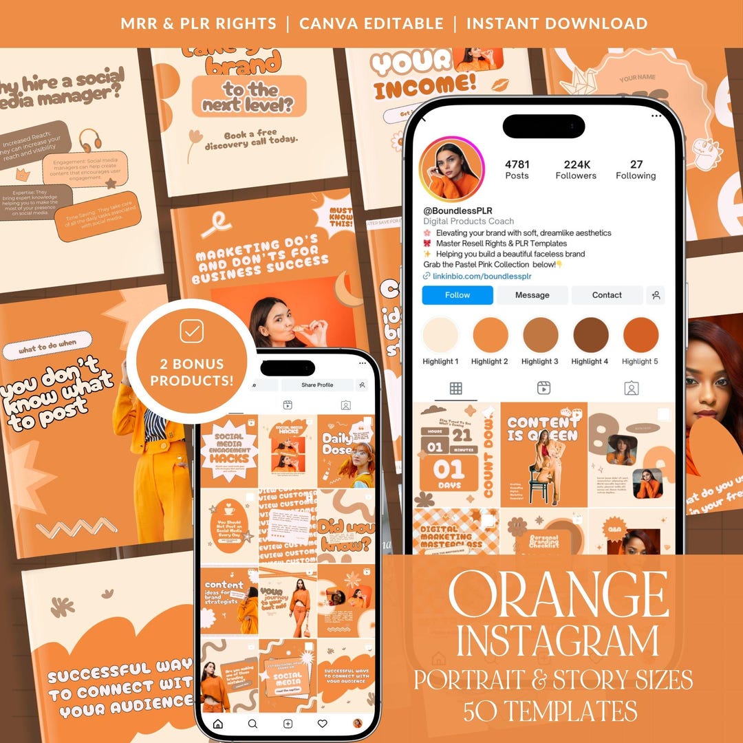 Animative Posts Animated Instagram Post Templates | Canva MRR PLR (digital Download) - Etsy