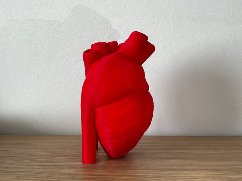 Vase en forme de cœur imprimé en 3D en rouge vif avec plastique recyclé, décoration intérieure respectueuse de lenvironnement image 3