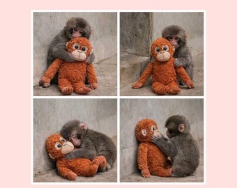 Punch Monkey Hugging Plush Toy JPG File | Team Punch Meme Inspired Digital File | Baby Monkey Punch for Sublimation | Viral Punch-kun File