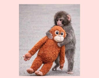 Punch Monkey JPG File | Team Punch Meme Inspired Digital File | Baby Monkey Punch for Sublimation | Viral Punch-kun File | Animal Lover