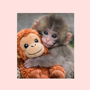 May include: A set of three ceramic mugs with a speckled, matte finish. The mugs are in shades of cream, light gray, and dark gray. Each mug has a simple, minimalist design and a rounded handle.