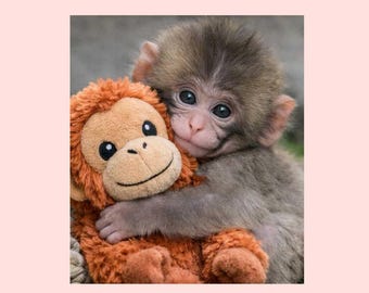 Punch Monkey JPG File | Team Punch Meme Inspired Digital File | Baby Monkey Punch for Sublimation | Viral Punch-kun File | Animal Lover