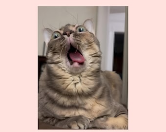 Gumbus Funny Cat Meme JPG File | Gumbus Meme Inspired Digital File | Gumbus Very Cool for Sublimation T shirt | Cat Lover