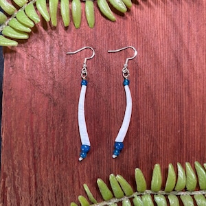 dentalium with blue