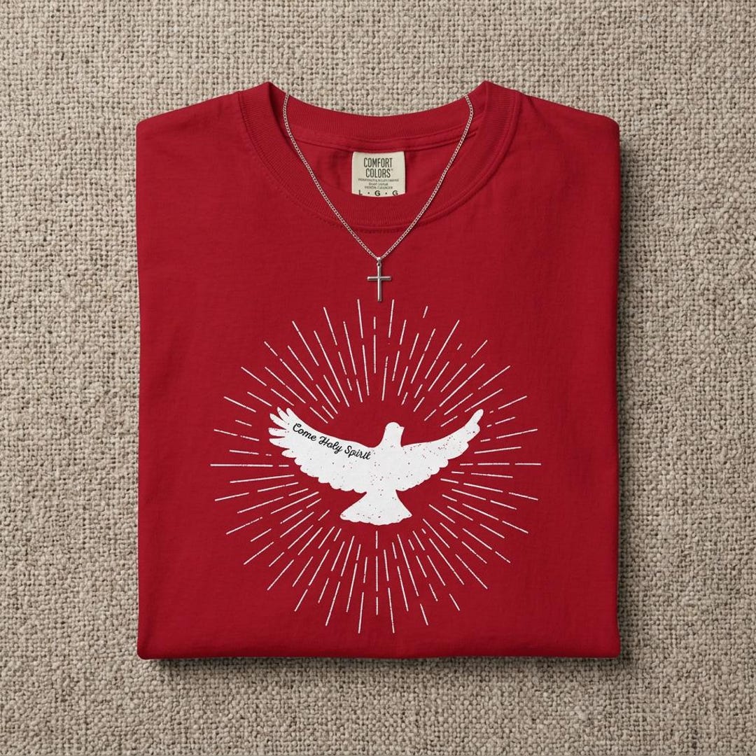 Come Holy Spirit Catholic T-shirt, Christian Dove Tee Shirt - Etsy