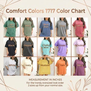 Comfort Colors Toy Story Brothers Shirt, Disney Big Bro Matching T-Shirt, Woody Buzz Lightyear Family Sweatshirt, Toy Story Siblings Gift image 9