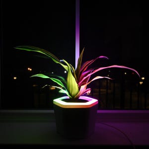 May include: A houseplant in a white hexagonal planter with a multi-coloured LED light strip around the rim. The light strip is lit in shades of green, yellow, and purple.