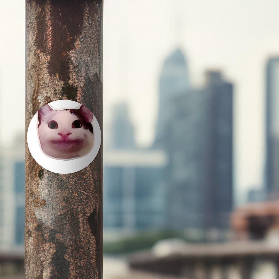 Polite Cat Meme PNG, Serious Cat Meme, Funny Cat Meme, Funny Cat Meme ...
