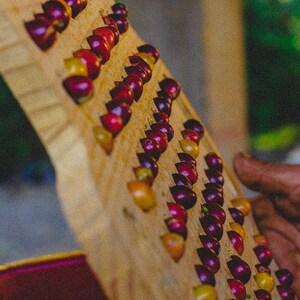 organic specialty coffee
