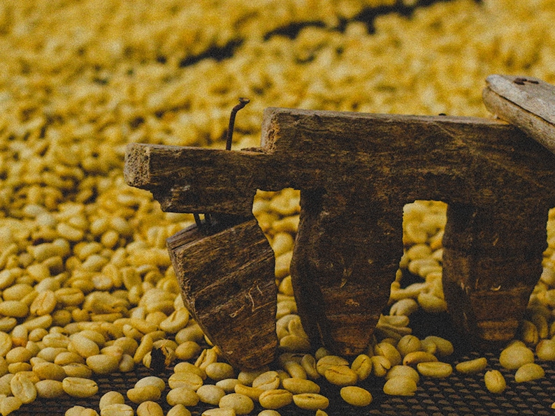 organic specialty coffee