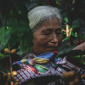organic specialty coffee