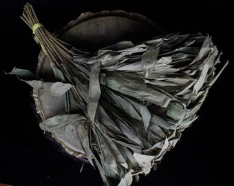 Chakapa Schamanen Rassel | Handgefertigtes zeremonielles Instrument aus Shipibo Perlen aus dem Amazonas