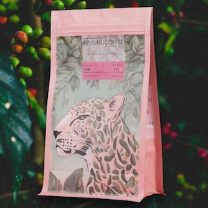Organic Peruvian Specialty Coffee | Hand-Picked Delicious Coffee | Collective Packaging