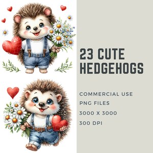 May include: Two cute cartoon hedgehogs wearing denim overalls and holding a bouquet of white daisies and a red heart. The text "23 CUTE HEDGEHOGS" is in the background.  COMMERCIAL USE PNG FILES 3000 X 3000 300 DPI