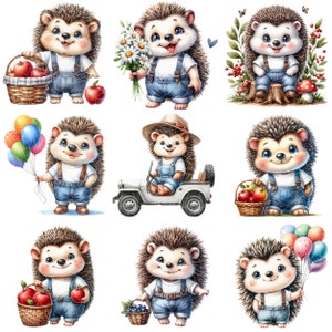 May include: Nine illustrations of cute cartoon hedgehogs wearing overalls and various accessories. The hedgehogs are holding items such as balloons, apples, and flowers. Some are riding in a jeep, while others are sitting on a tree stump.