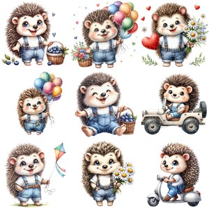 Cute Hedgehogs Clipart, Hedgehog Clipart Bundle, Hedgehog PNG, Cute Animal Clipart, Cute Animals, Transparent Background, Digital Download image 3