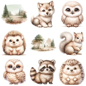 May include: A set of nine watercolor illustrations featuring various woodland animals, including a wolf, owl, squirrel, raccoon, and hedgehogs. The illustrations are set against a white background and feature a variety of colors and textures.