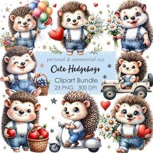 Ouriços fofos clipart, pacote de clipart de ouriço, ouriço PNG, clipart de animal fofo, animais fofos, fundo transparente, download digital