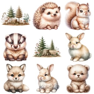 May include: A collection of cute animal illustrations featuring a hedgehog, squirrel, badger, bunny rabbit, fox, and teddy bear. The animals are depicted in a cartoon style with soft, pastel colors and are set against a white background.