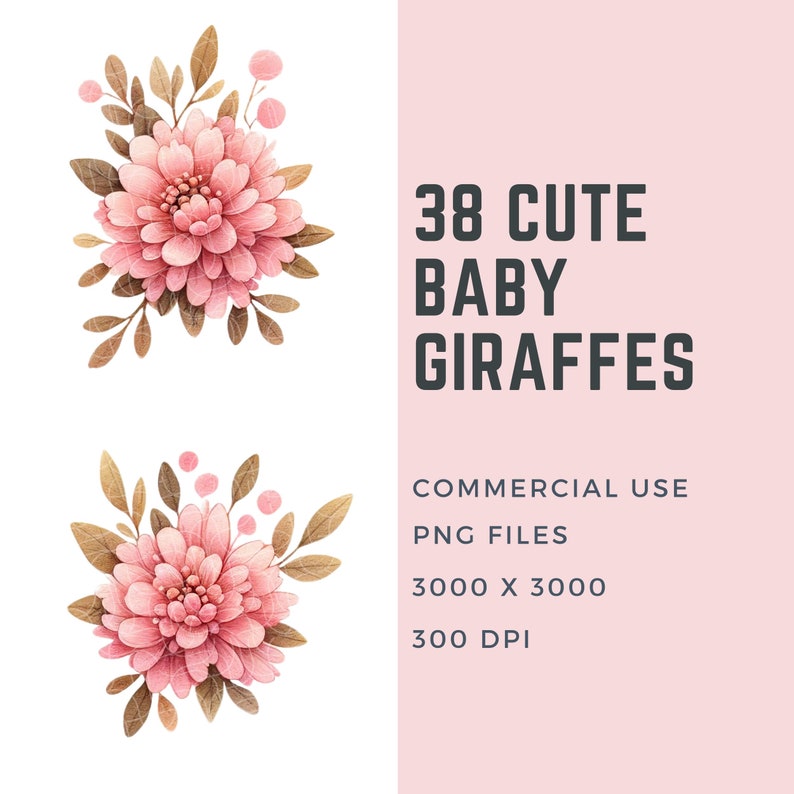May include: 38 Cute Baby Giraffes - Commercial Use PNG Files 3000 x 3000 300 DPI. Watercolor illustrations of pink flowers with brown leaves.