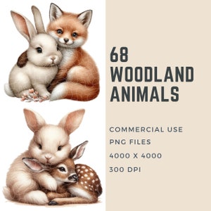 May include: Two illustrations of woodland animals. The first image shows a white rabbit with brown ears and a red fox with a white chest. The second image shows a white rabbit with brown ears and a brown and white spotted fawn.