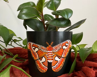 Atlas Moth | 4-5 inch pots | Atlas Moth Gift | Artsy Hand-Painted Draining Plant Pot | 5-inch Planter | 4-inch Planter | Home Decor