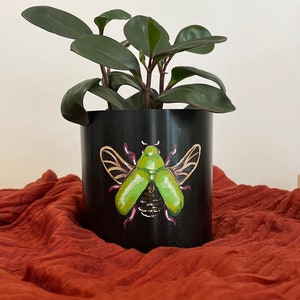 Hand-Painted Jeweled Beetle Plant Pot - 5 inch Draining Planter