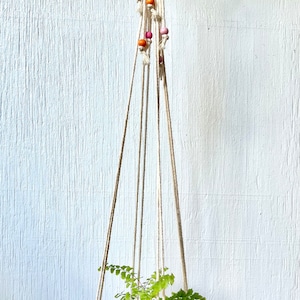 May include: A pink and orange planter with a wavy design hangs from a macrame plant hanger with pink and orange beads. A green fern plant is growing in the planter.