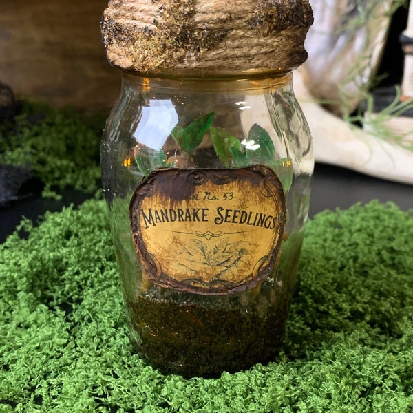 Mandrake Seedlings | Seeds | Potion Bottle | Herbology | Fantasy | Halloween | Decor | Prop | Apothecary | Botanical | Fan Art | Witchy