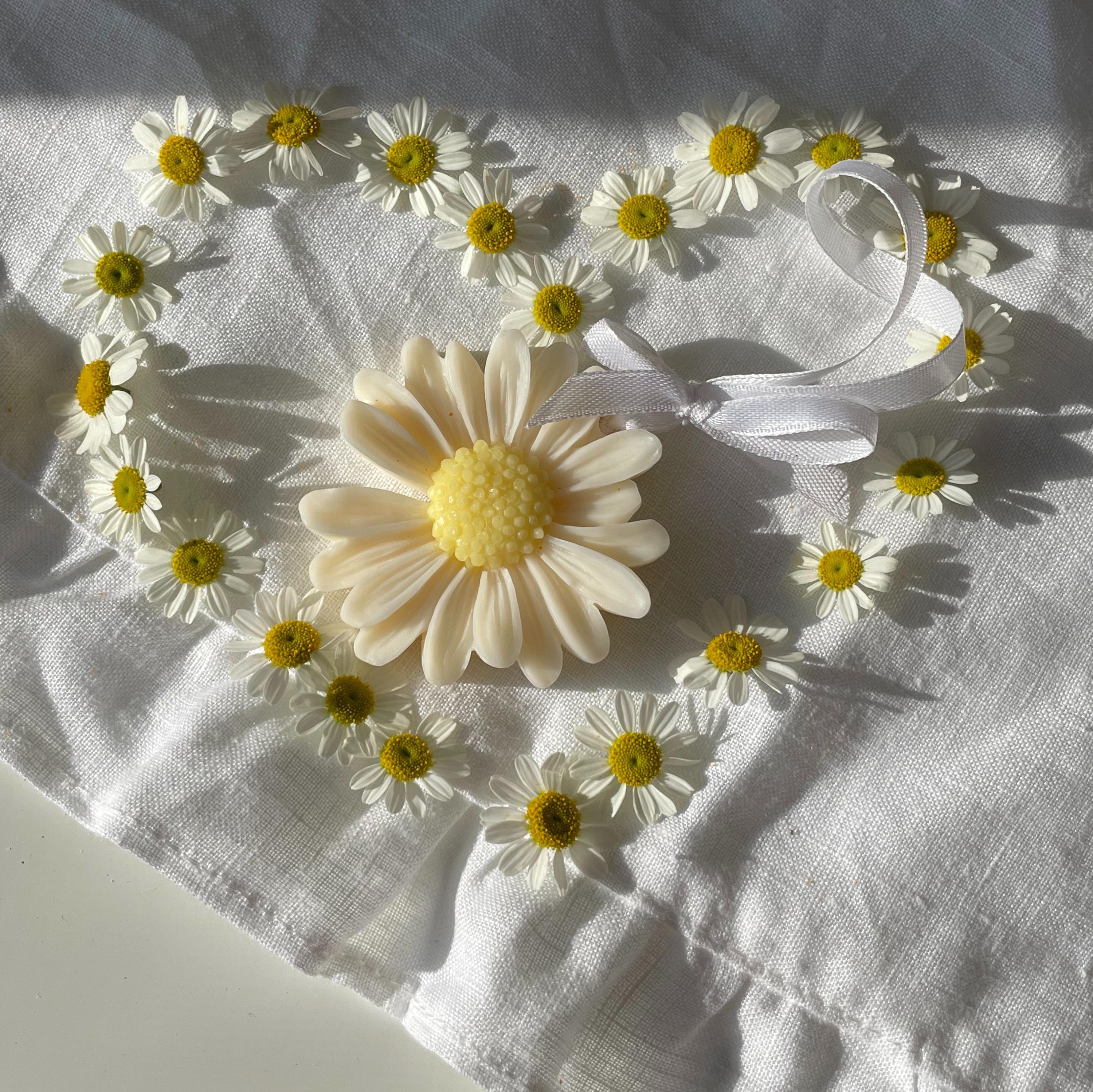 Daisy Wax Sachet Wedding Favors, Floral Scented Bridal Shower Gift - Etsy