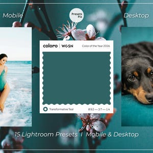 May include: A promotional image featuring a woman in a teal swimsuit, a dachshund, and a color swatch labeled "Transformative Teal." Text includes "Mobile," "Desktop," and "15 Lightroom Presets | Mobile & Desktop."