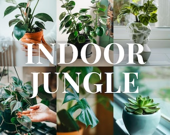 Plant Lover Lightroom Presets, Indoor Botanical Photo Filters, Mobile & Desktop