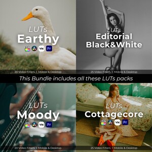 May include: A bundle of video filters for mobile and desktop use. The image features four panels with the text "LUTS" and different themes: "Earthy", "Editorial Black&White", "Moody", and "Cottagecore". Each panel includes the number of filters and the software compatibility.
