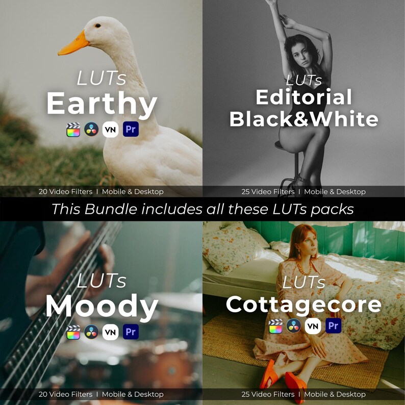 May include: A bundle of video filters for mobile and desktop use. The image features four panels with the text "LUTS" and different themes: "Earthy", "Editorial Black&White", "Moody", and "Cottagecore". Each panel includes the number of filters and the software compatibility.