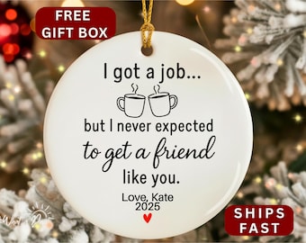 Personalized Coworker Gift, Funny Coworker Ornament, Coworker Friend Gift, Christmas Coworker Gifts, Coworker Appreciation Gift 2025