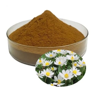 200X Kanna Extract Powder (Sceletium Tortuosum)