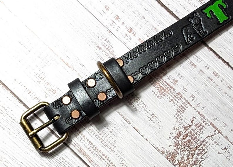 Handcrafted Leather Collar Personalized Pet Accessory Custom Engraved Design Quality Dog Identification Tag Durable Material Construction Comfortable Everyday Wear Unique Gift Idea Special Occasion Present Perfect Birthday Surprise Dog