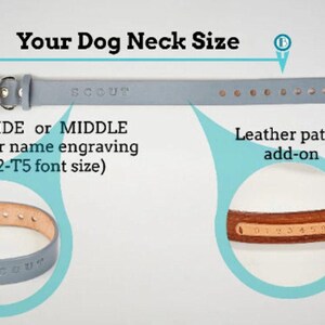 Personalized Leather Dog Collar: Custom Engraved Pet ID Accessory – Durable Design image 12