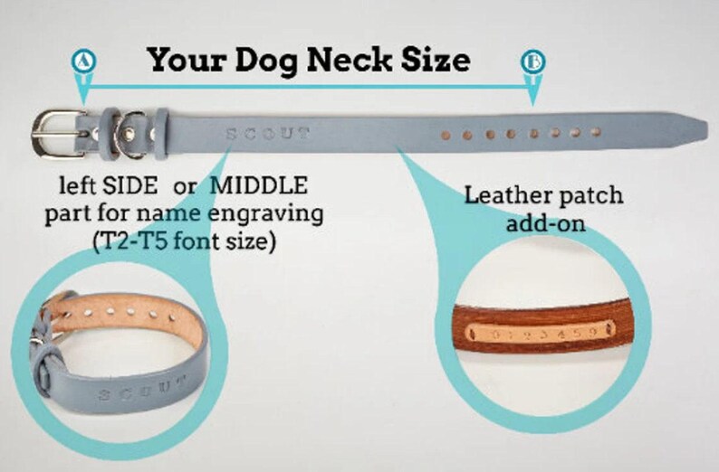 Personalized Leather Dog Collar: Custom Engraved Pet ID Accessory – Durable Design image 12