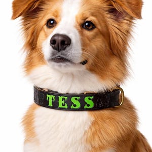 Custom Pet Collar Personalized Leather Accessory Engraved Identification Tag Handmade Quality Design Unique Dog Gift Special Birthday Present Perfect Surprise Dog Owner Premium Material Construction Comfortable Daily Wear Durable