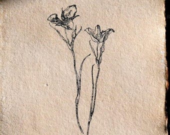 Arte minimalista em estilo de esboço de orquídea, decoração botânica, obra de arte floral feita à mão.