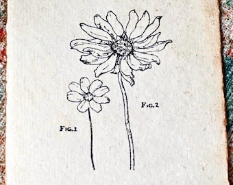 Original Sunflower Pen Drawing on Handmade Paper  Vintage-Inspired Botanical Art  Floral Wall Decor