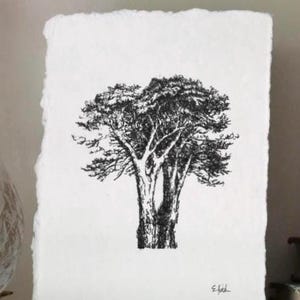 Original Pen and Ink Tree Drawing on Handmade Paper  Forest-Inspired Minimalist Art  CABIN ART