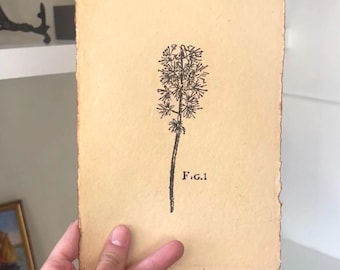 Desenho botânico vintage a caneta e tinta, arte minimalista de flores silvestres (15 x 20 cm)