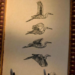 original art, vintage animal illustrations, bird art, vintage bird artwork decor, ephemera art, handmade bird decor, hand drawn bird