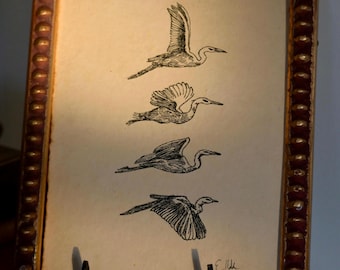Puede incluir: Una impresión enmarcada de cuatro dibujos en blanco y negro de pájaros en vuelo. Los pájaros están todos mirando hacia el lado derecho de la imagen. La impresión está en un marco dorado con un borde decorativo.